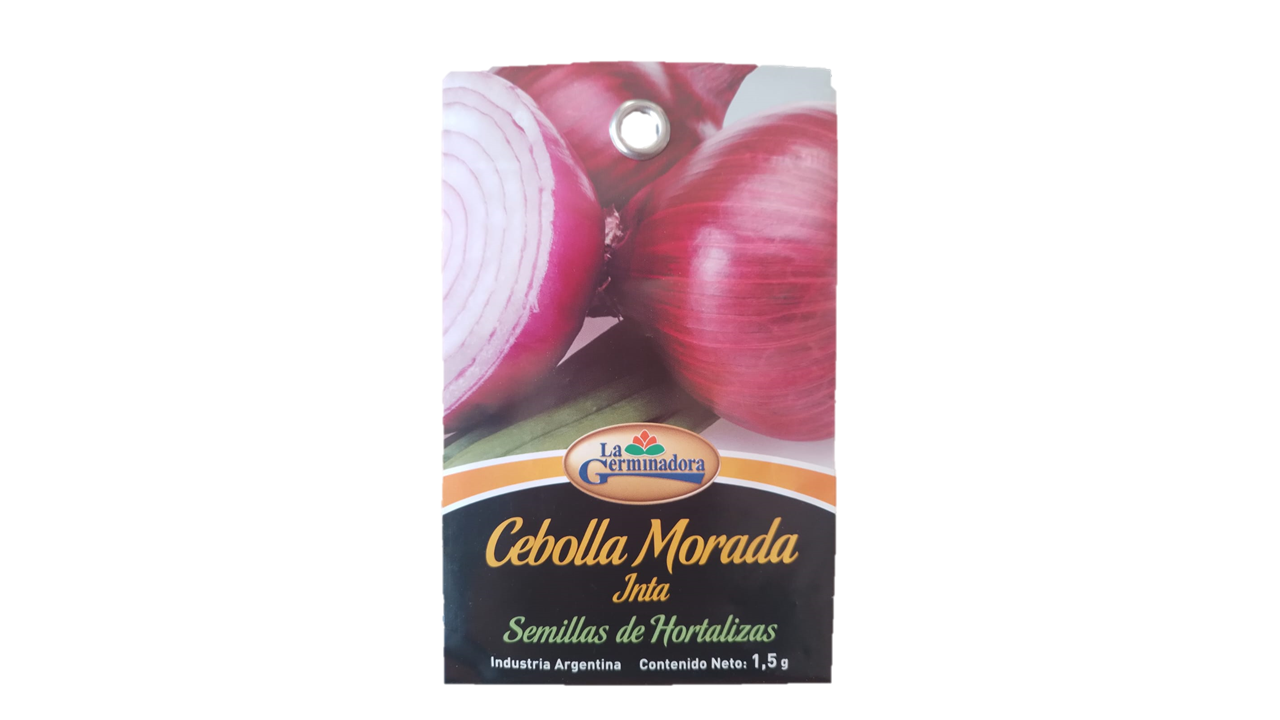 SEMILLA DE CEBOLLA MORADA