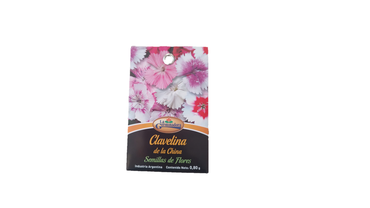 SEMILLA DE CLAVELINA DE LA CHINA