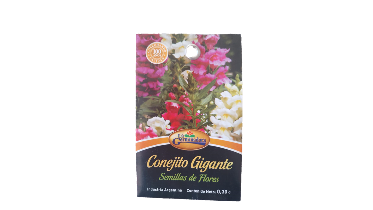 SEMILLA DE CONEJITO GIGANTE
