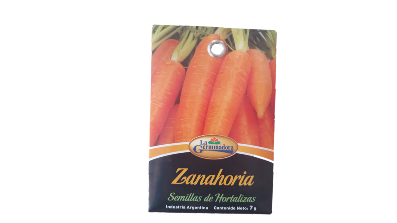 SEMILLA DE ZANAHORIA