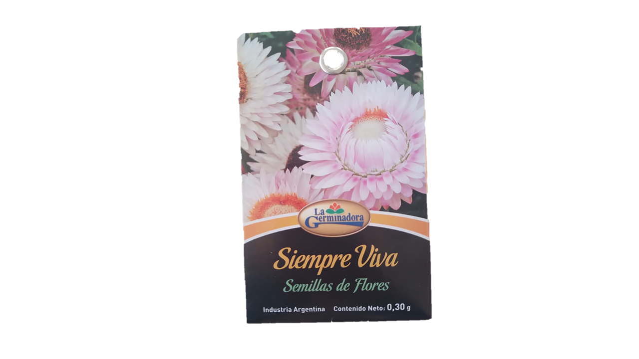 SEMILLA DE SIEMPREVIVA