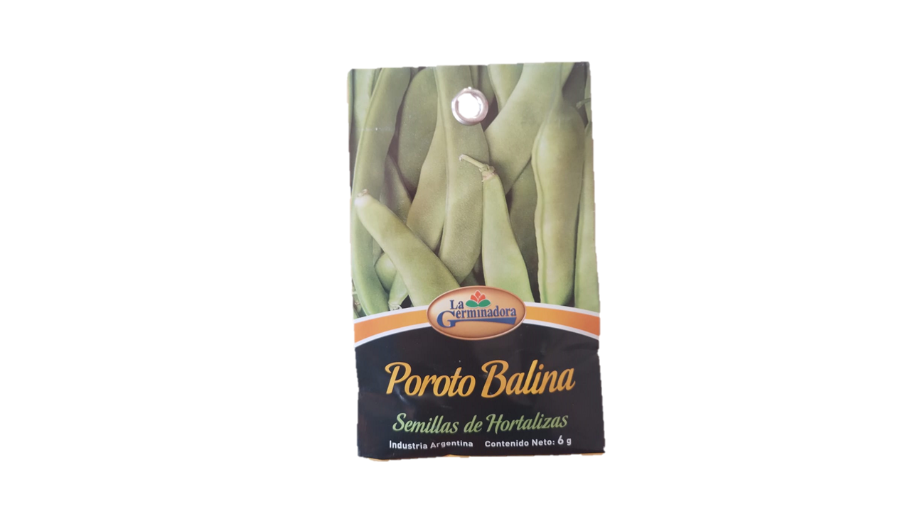 SEMILLA DE POROTO
