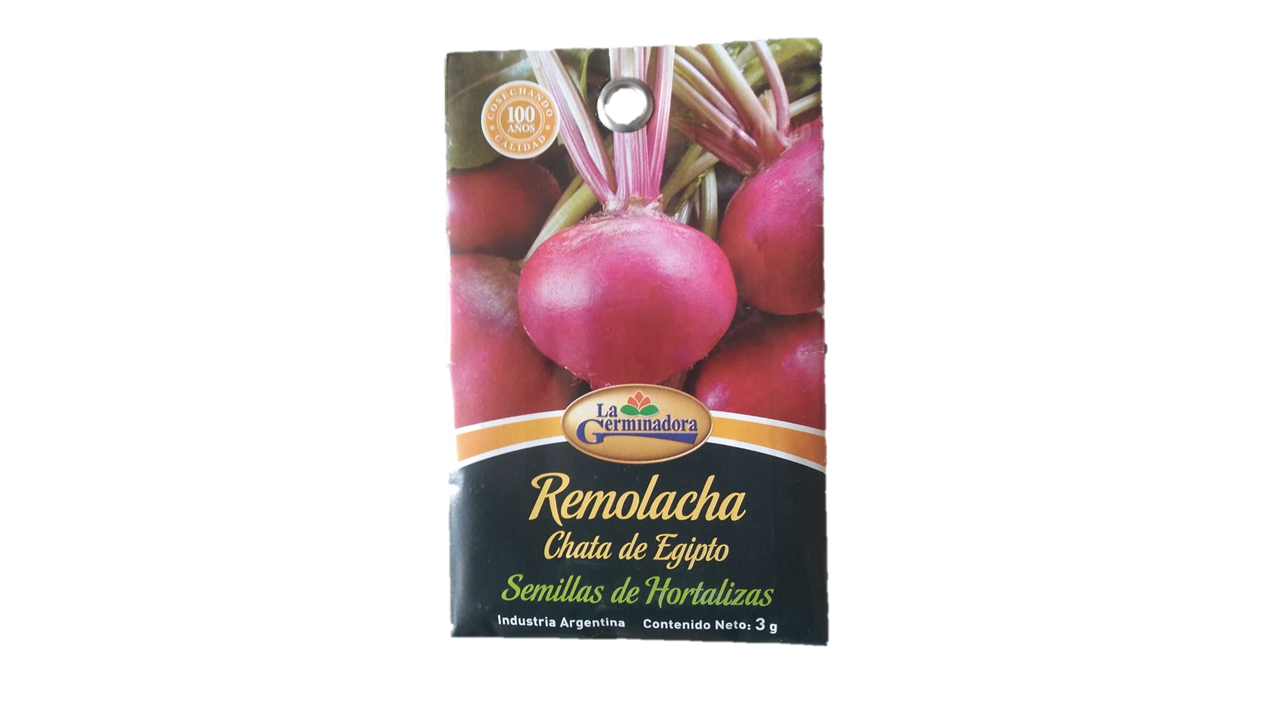 SEMILLA DE REMOLACHA CHATA