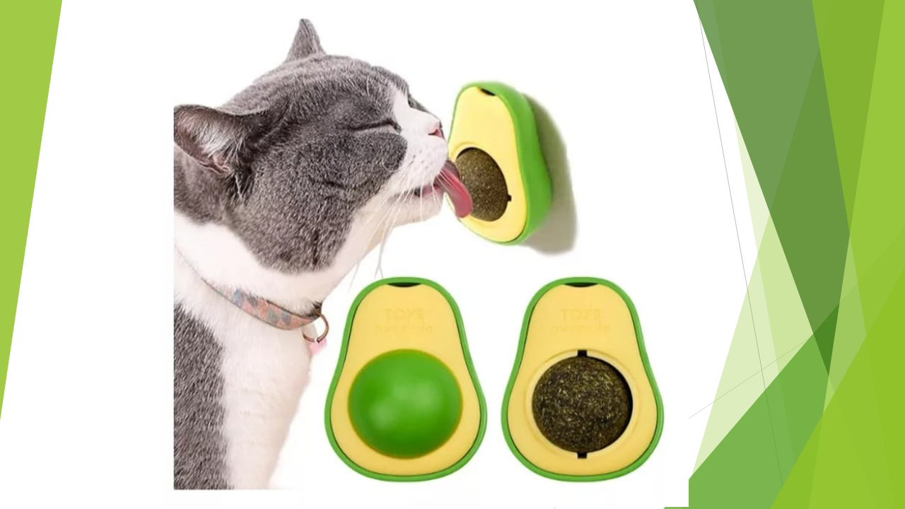PALTA PARA LAMER